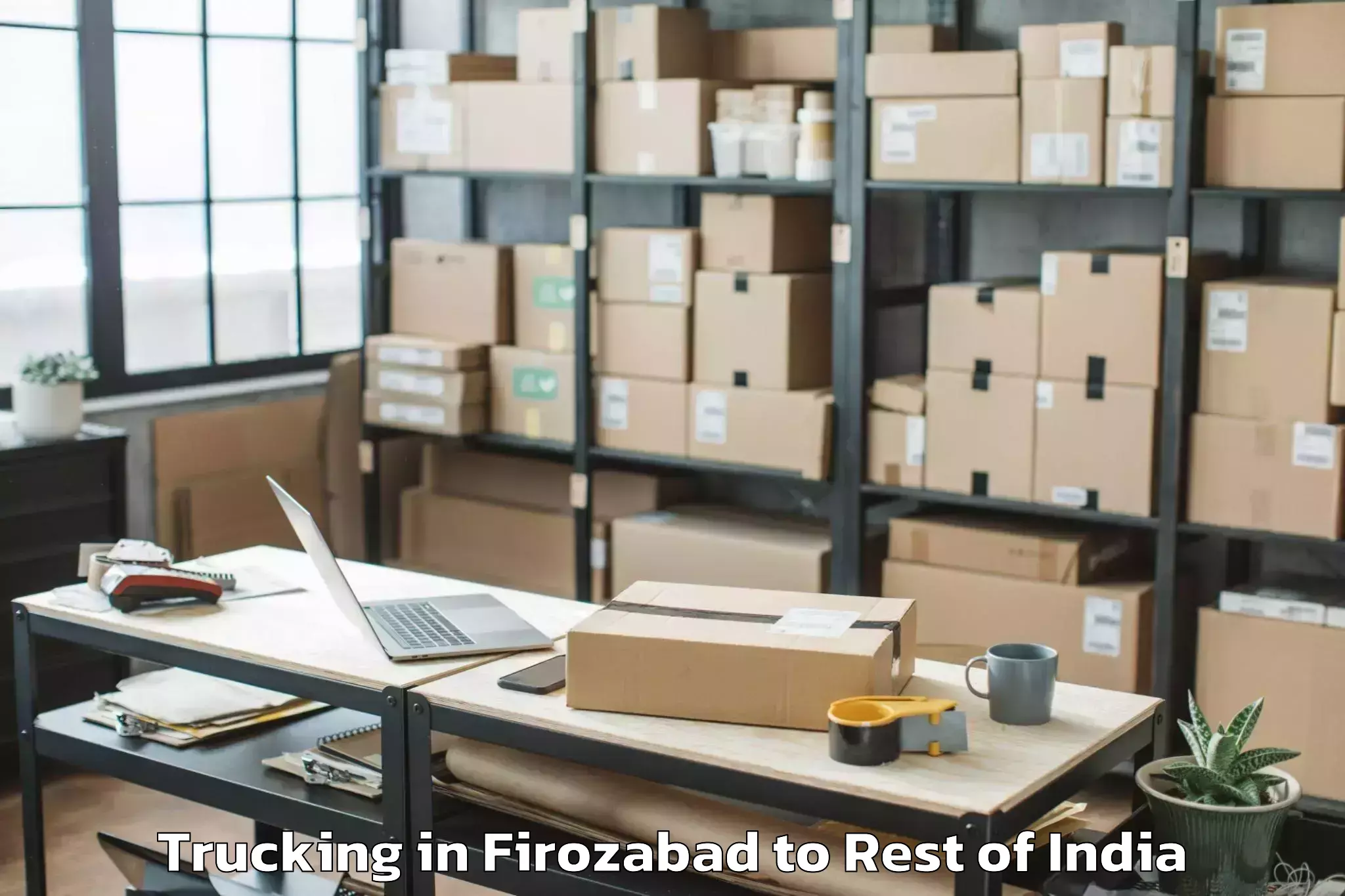 Reliable Firozabad to Nanganoor Trucking